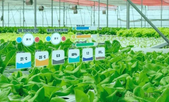 璃温室：现代农业的新引擎龙8游戏国际登录智能玻(图2)