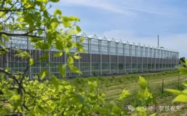 璃温室：现代农业的新引擎龙8游戏国际登录智能玻(图3)