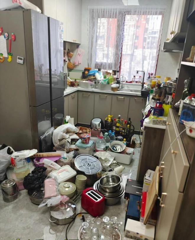 展史才懂现代人对集成灶的执着龙8体育看完了厨房电器的发(图1)
